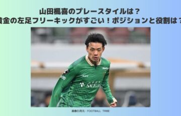 山田楓喜　プレースタイル